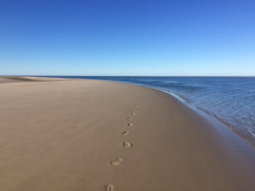 Footprints on a Beach