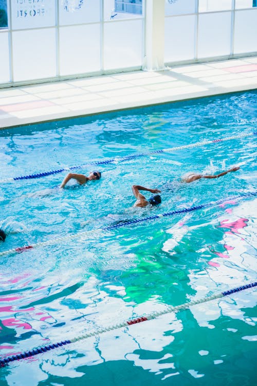 Fotos de stock gratuitas de actividad, agua, deporte