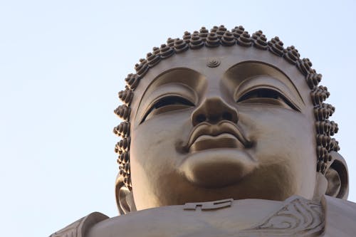Darmowe zdjęcie z galerii z buddyjski, buddyzm, głowa