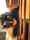 dogs