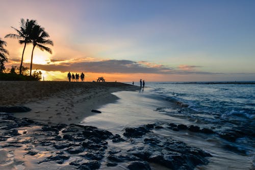 Free stock photo of beach, dawn, hawaii