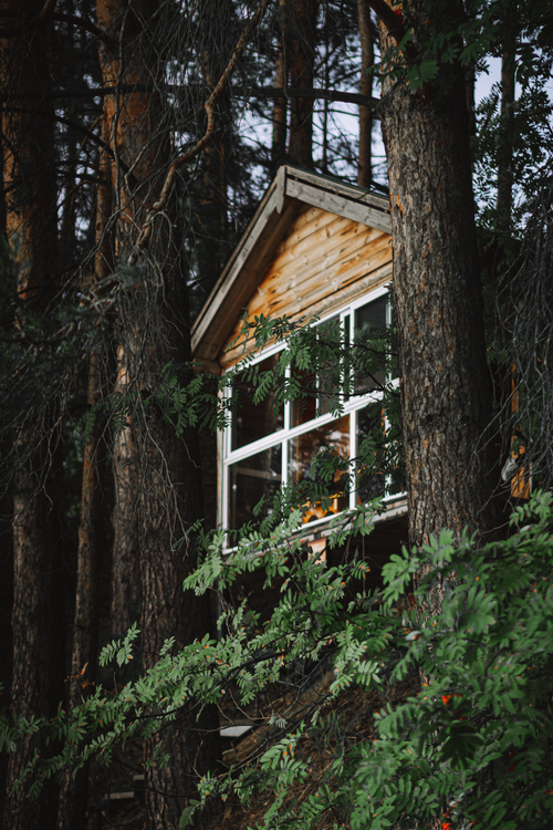 Free A charming wooden treehouse surrounded by dense forest scenery, creating a serene and tranquil atmosphere. Stock Photo