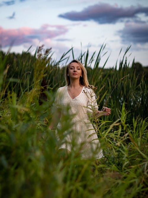 Základová fotografie zdarma na téma blond, louky, model