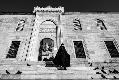 Free A woman in traditional attire walking down mosque steps flanked by pigeons. Stock Photo
