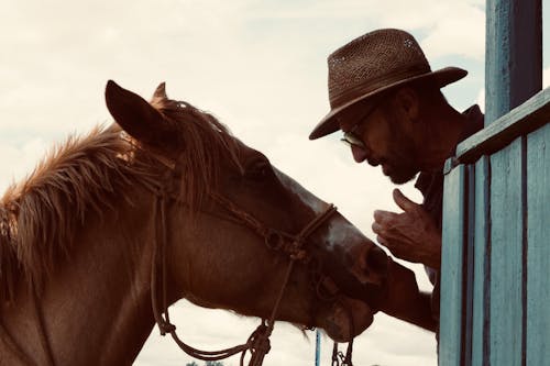 Man in Hat with Horse