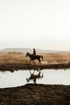 A lone rider on horseback crosses a river, reflecting on the water at sunset.