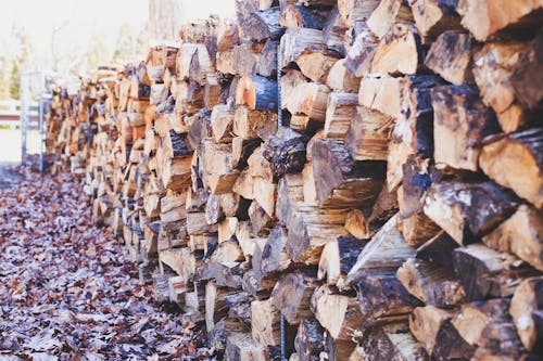 Free Pile of Dry Firewood Logs Stock Photo