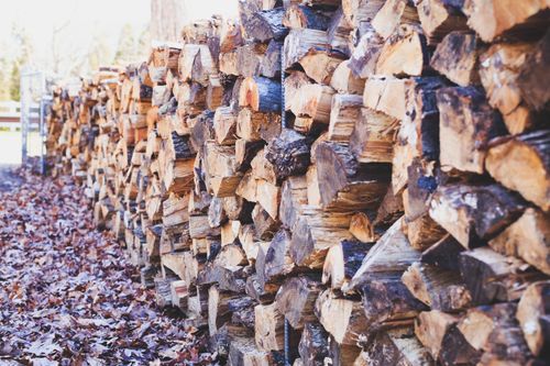 Free A close-up of stacked firewood on a leaf-covered ground, showcasing texture and outdoor ambiance. Stock Photo