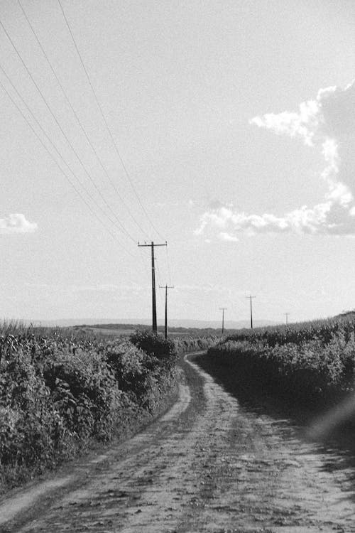 Black and White Shot of a Country Road 