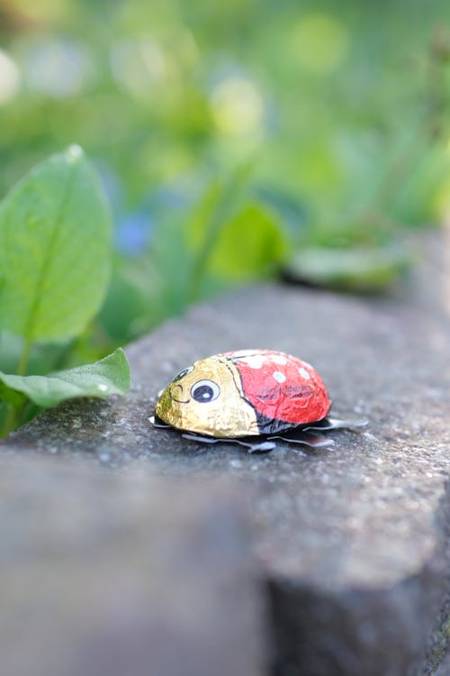 Chocolate ladybugs on a stone
