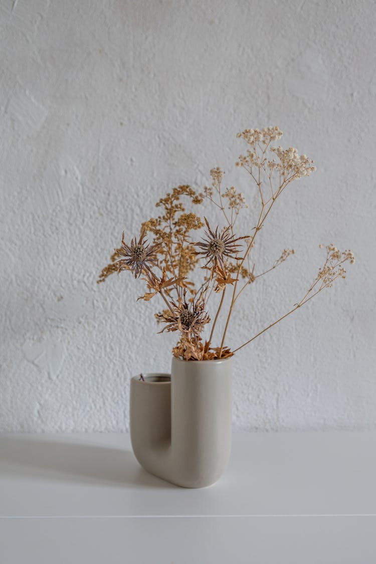 Dried Flowers In A Vase 