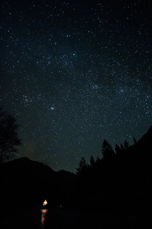 Silhouetted Trees and Mountains under a Starry Night Sky 