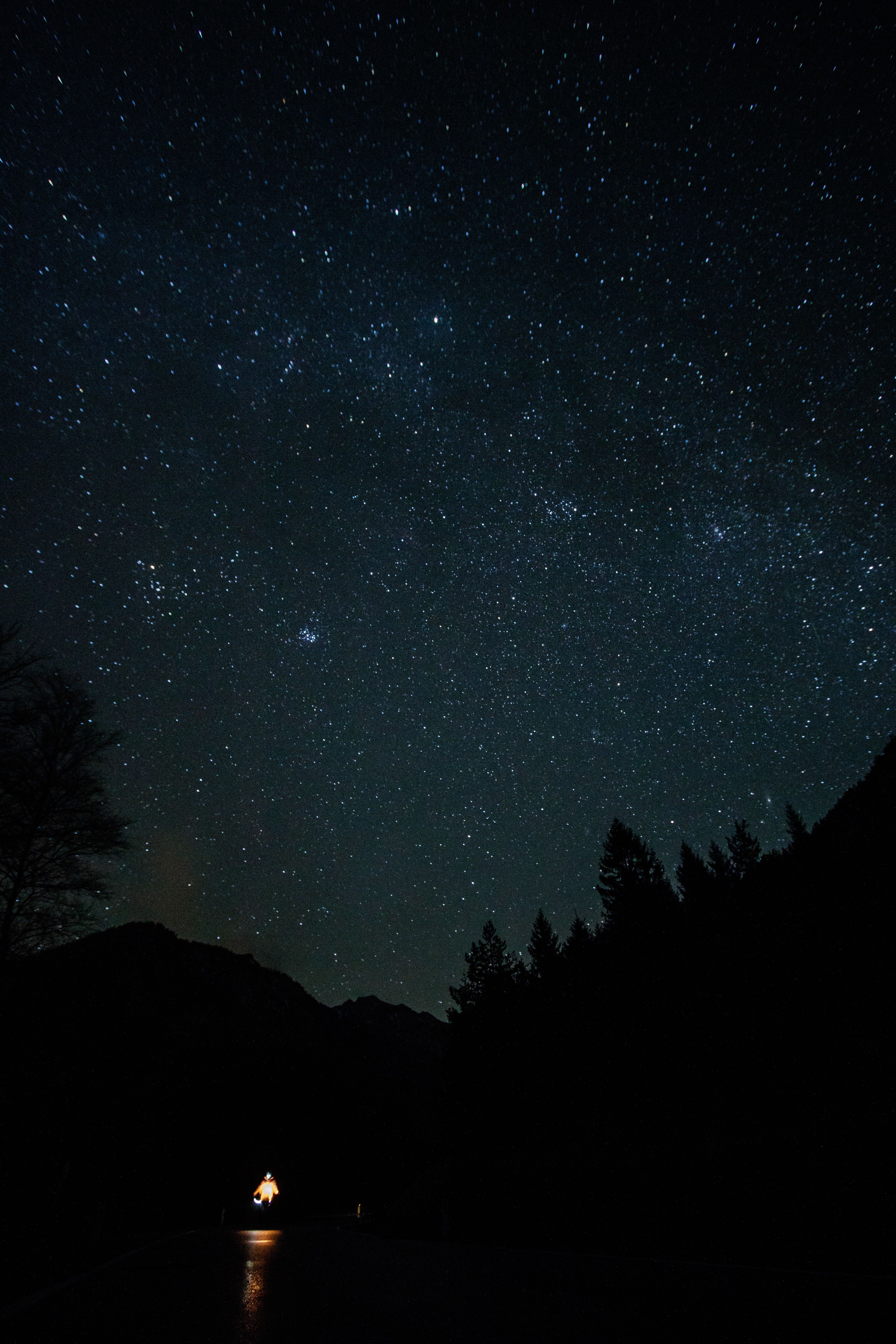 Silhouetted Trees and Mountains under a Starry Night Sky · Free Stock Photo