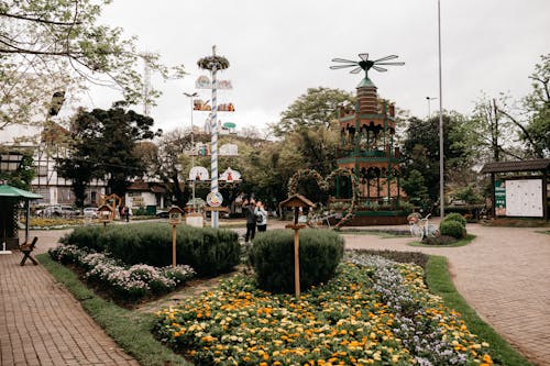 Fotobanka s bezplatnými fotkami na tému Brazília, cestovať, kvety