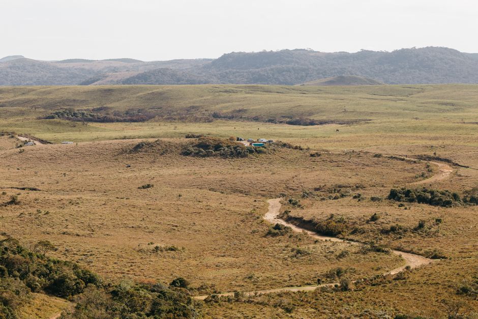 Incredible 7-Hour Shared Group Santos Tour: Mont Serrat, Coffee Museum and Sightseeing Review 2026 - Expansive view of Cambará do Sul's grasslands with rugged mountains in the background.
