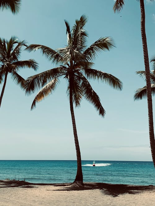 Jet Ski on the Ocean Heading Towards a Tropical Beach