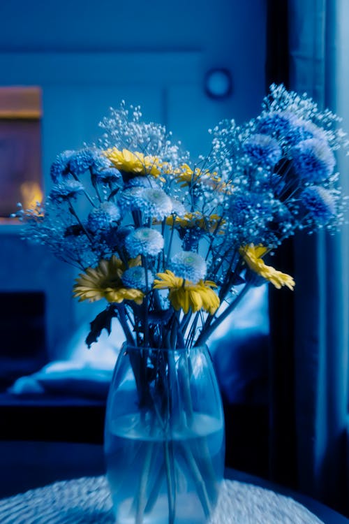 Fotos de stock gratuitas de amarillo, azul, flores