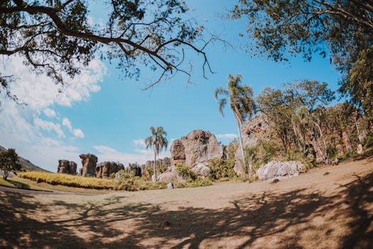 Explore eroded rock formations and palm trees against a bright summer sky.