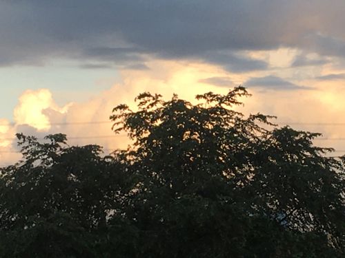 Free A Philippines Morning #1 Stock Photo
