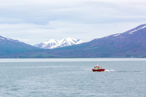 Free Icelandic Fjords Stock Photo