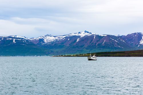 Free Icelandic Fjords Stock Photo