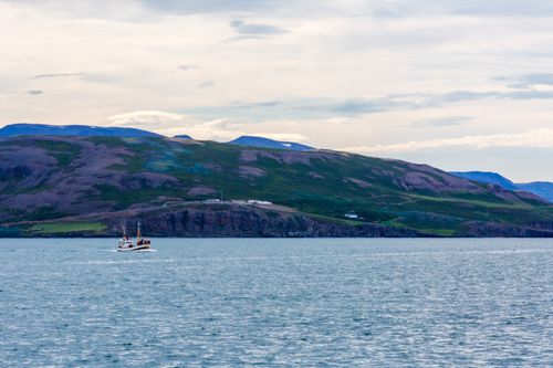 Free Icelandic Fjords Stock Photo