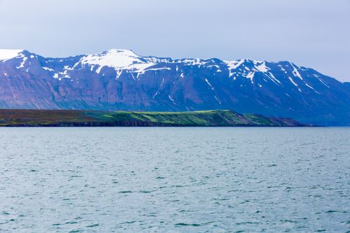 Free Icelandic Fjords Stock Photo