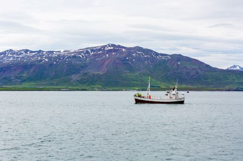 Free Icelandic Fjords Stock Photo