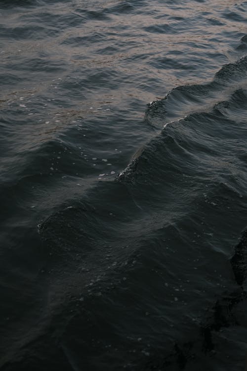 바다, 수직 쐈어, 표면의 무료 스톡 사진