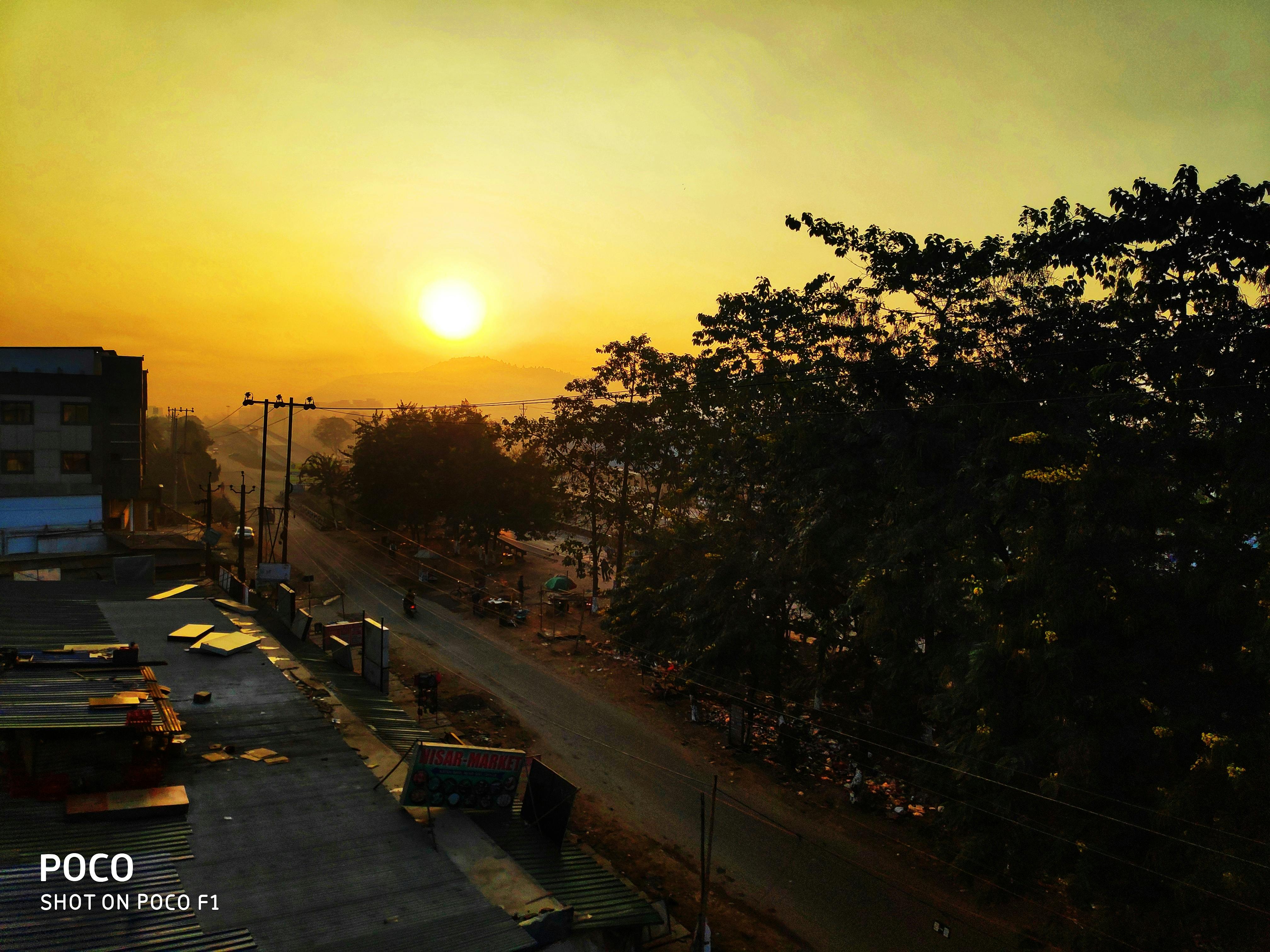 Colorful plate with vegetables, whole grains, and beans arranged attractively