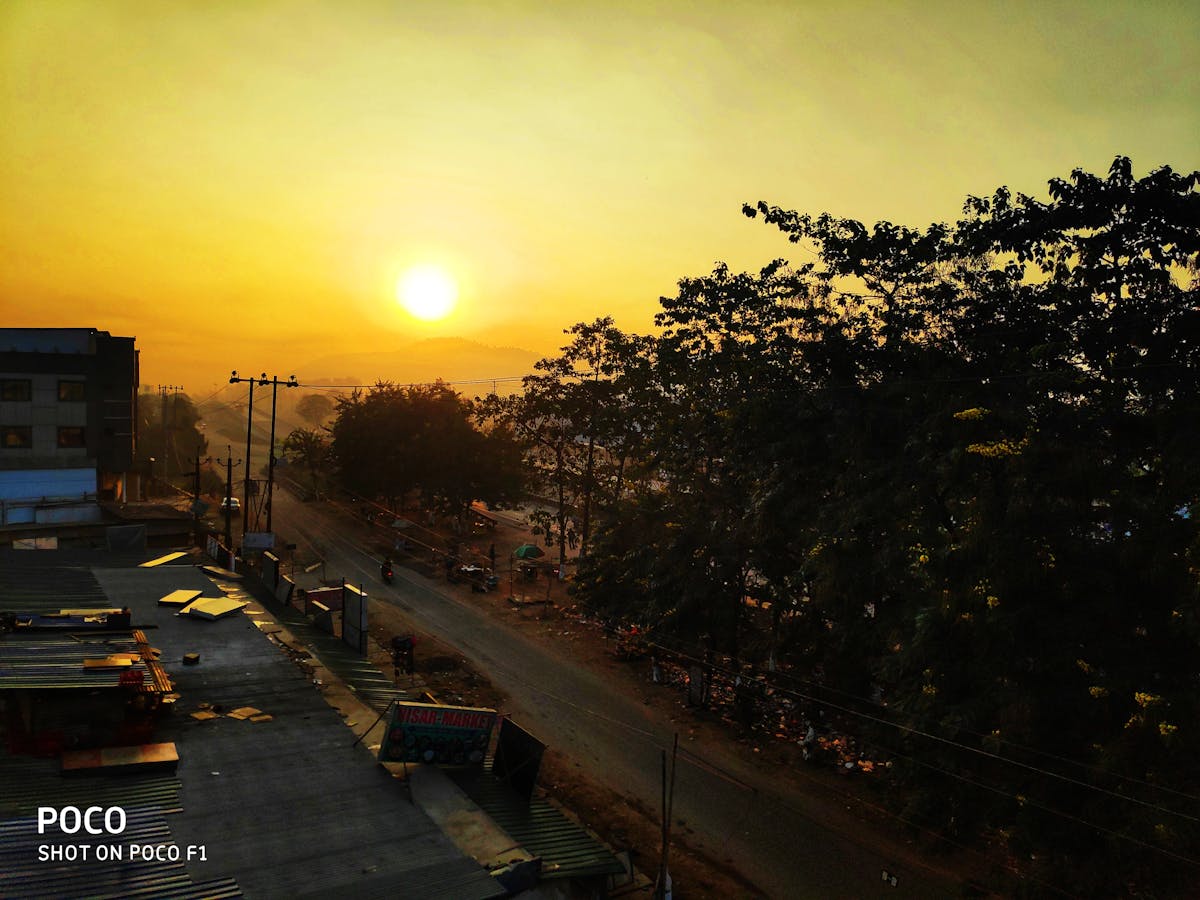 Fermented foods like kimchi, pickles, and sauerkraut in small bowls