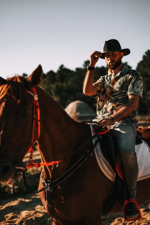 Gratis lagerfoto af Cowboy, dyr, gård