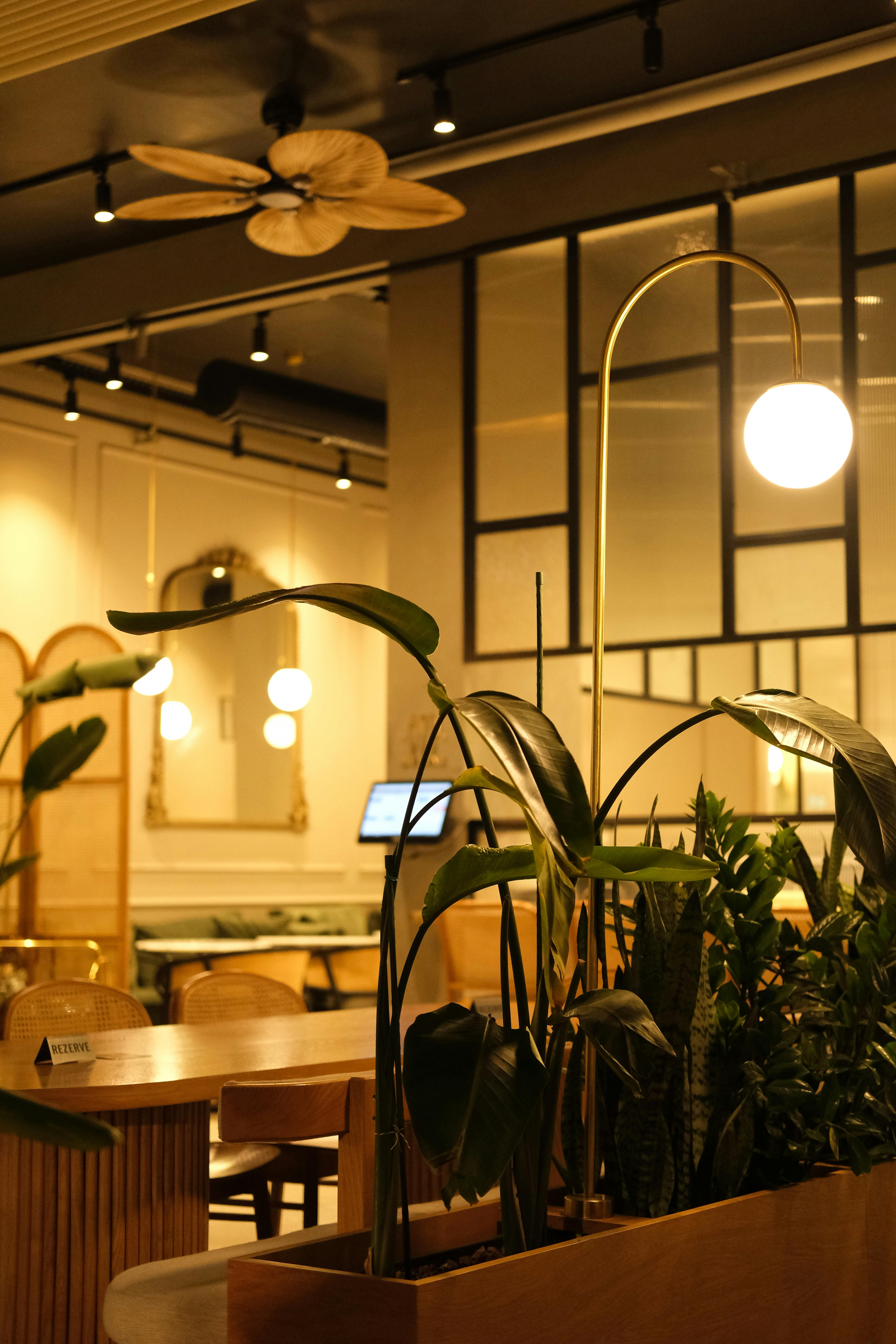 plants and lamp near table in restaurant