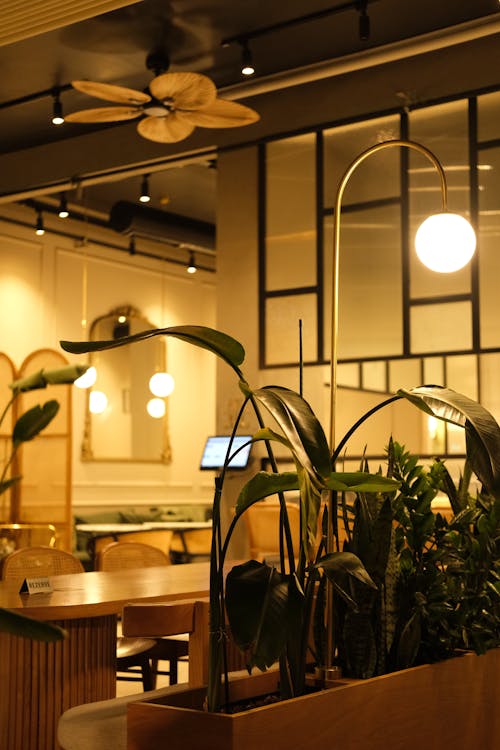 Plants and Lamp near Table in Restaurant
