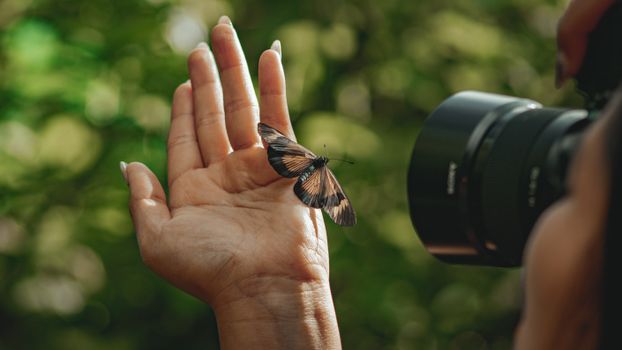 A butterfly rests on a human hand as it's photographed, surrounded by greenery.