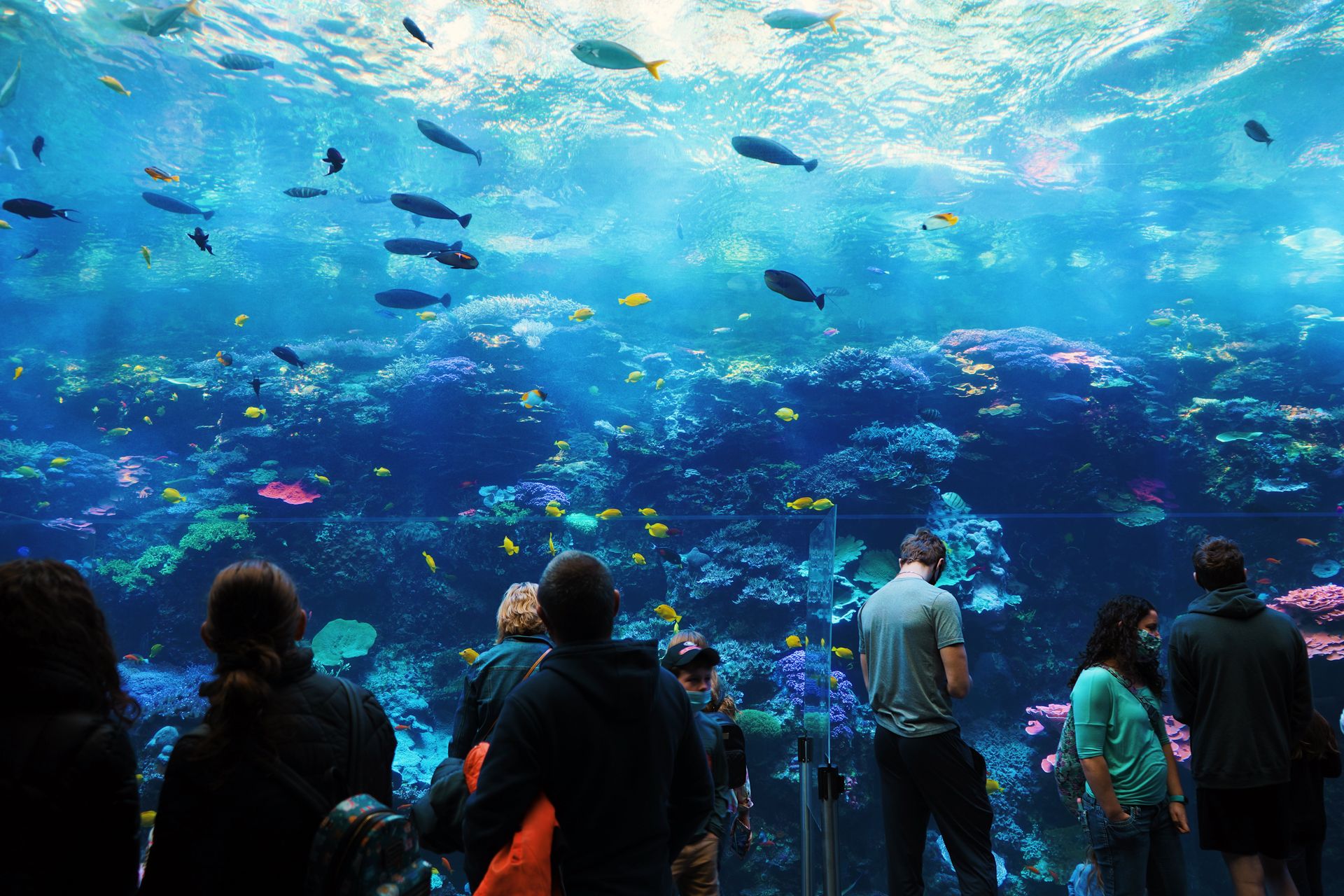 SeaWorld Abu Dhabi — Admission Ticket
