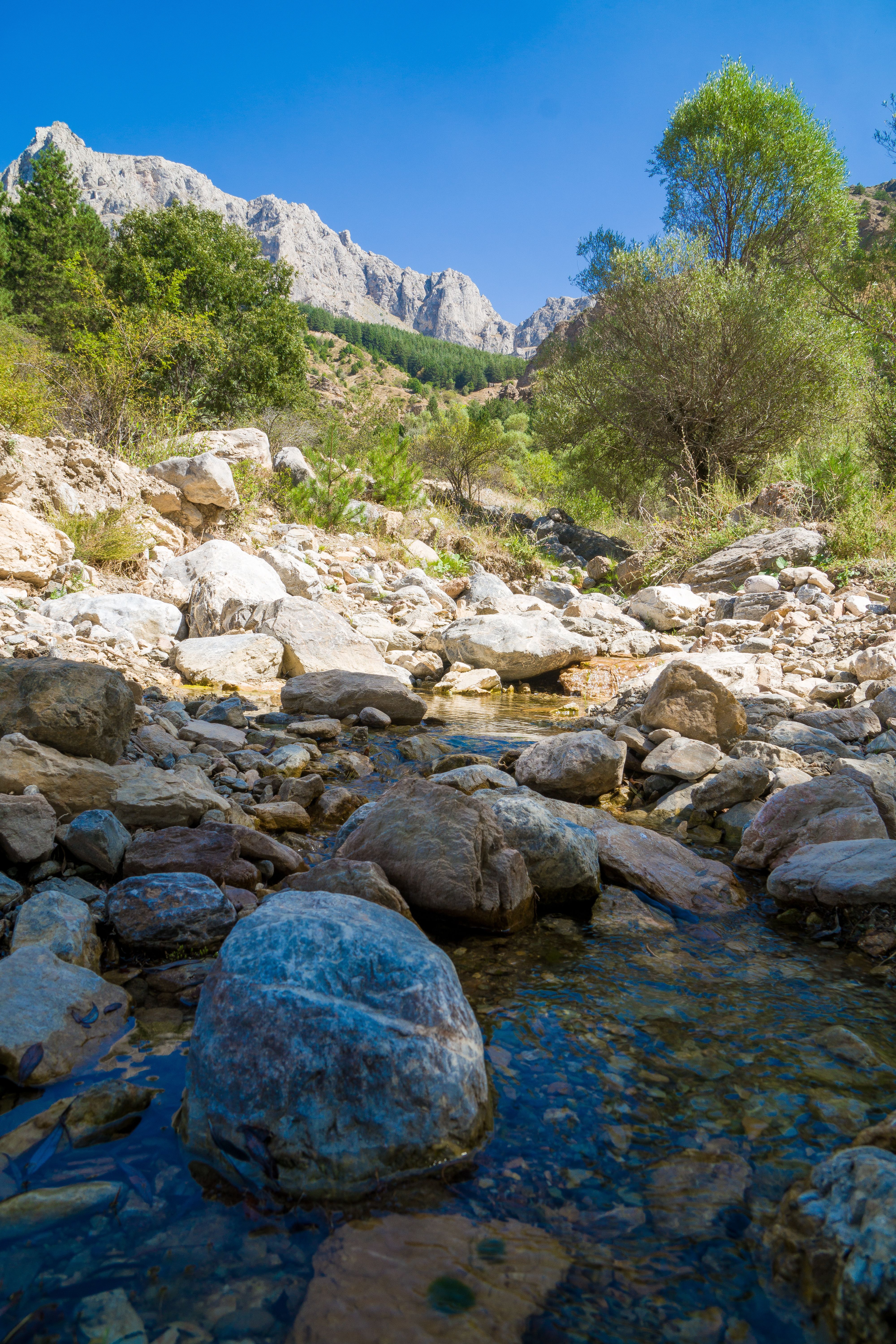 Mountainous Landscape with Rocks in a Creek · Free Stock Photo