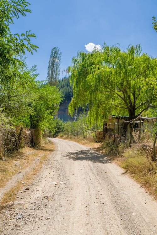 Photo of a Landscape with a Dirt Road 
