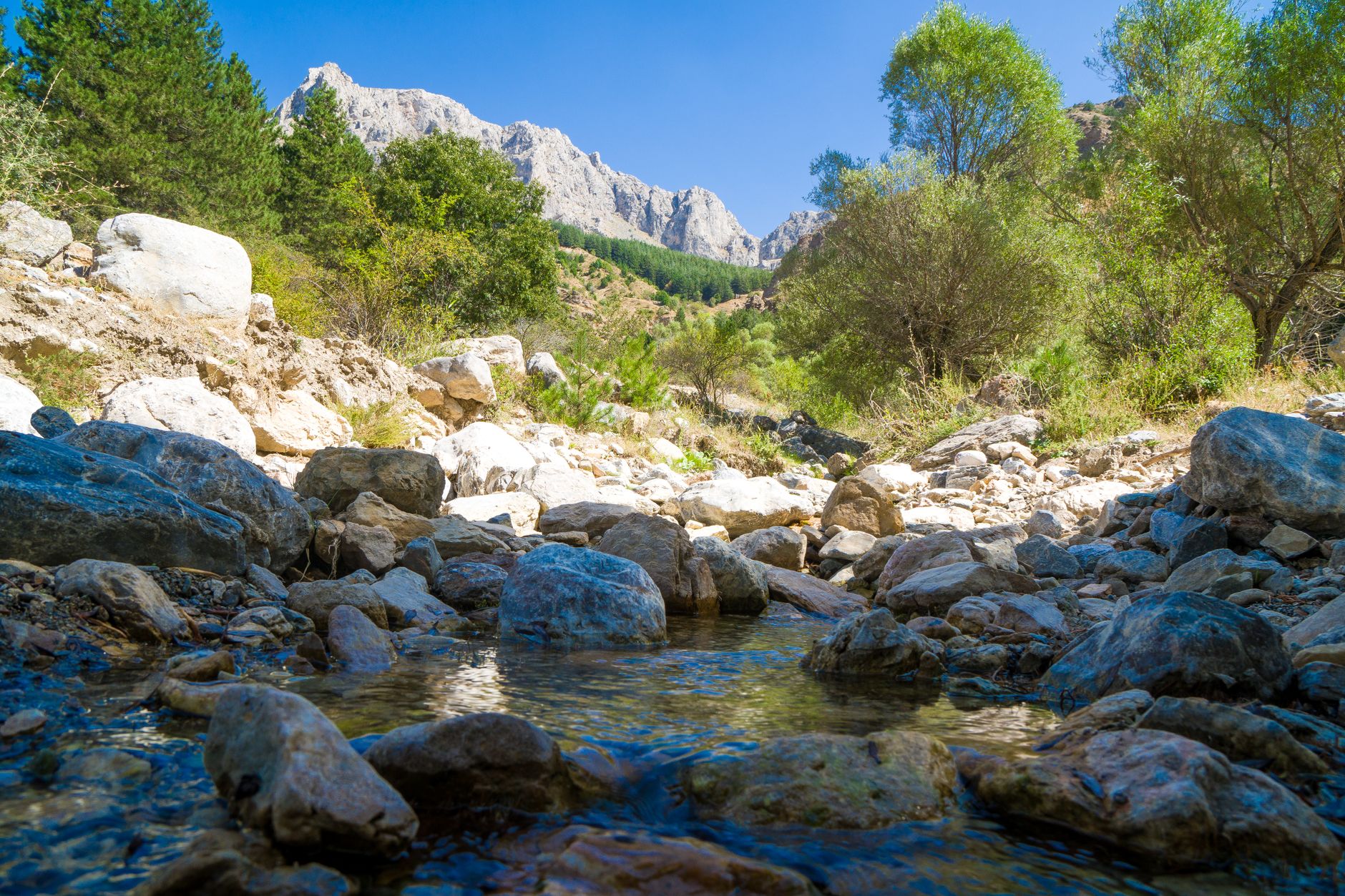 Backpacking’s Secret: 3 Hydration Hacks for Anti‑Inflammatory Health