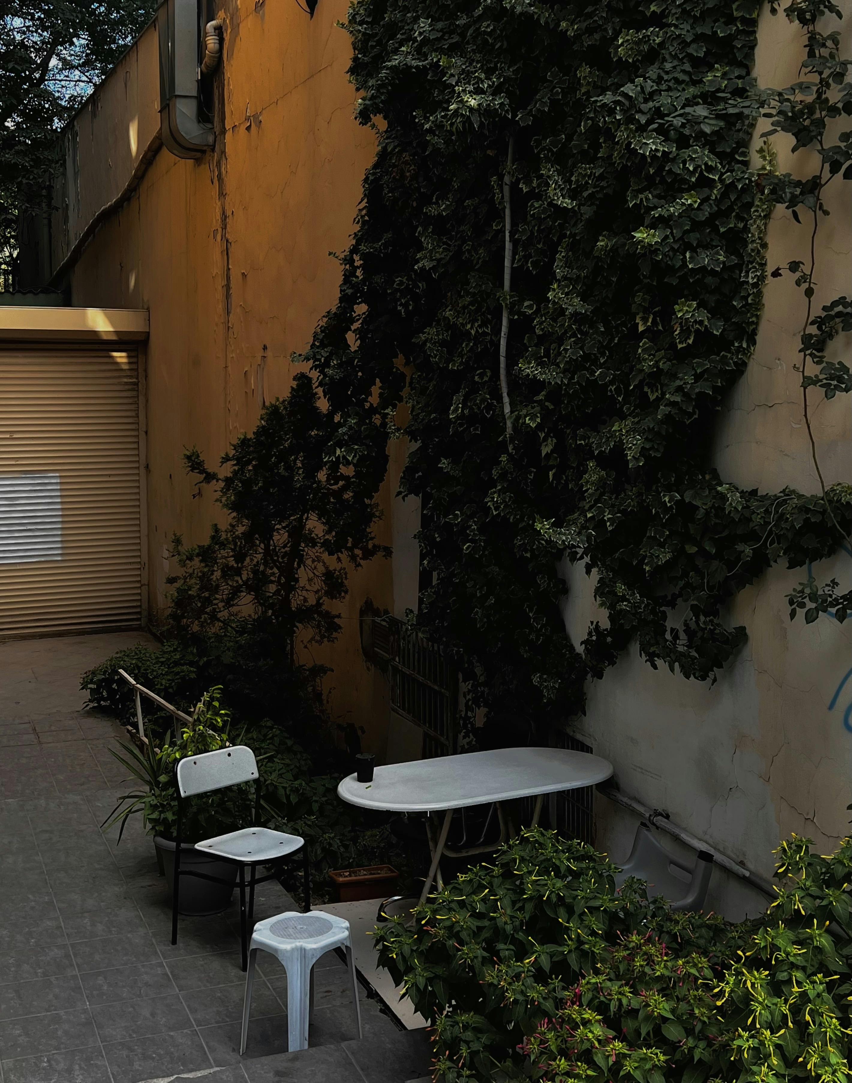 Gratuit Iedera Pe Un Perete Fotografie de stoc