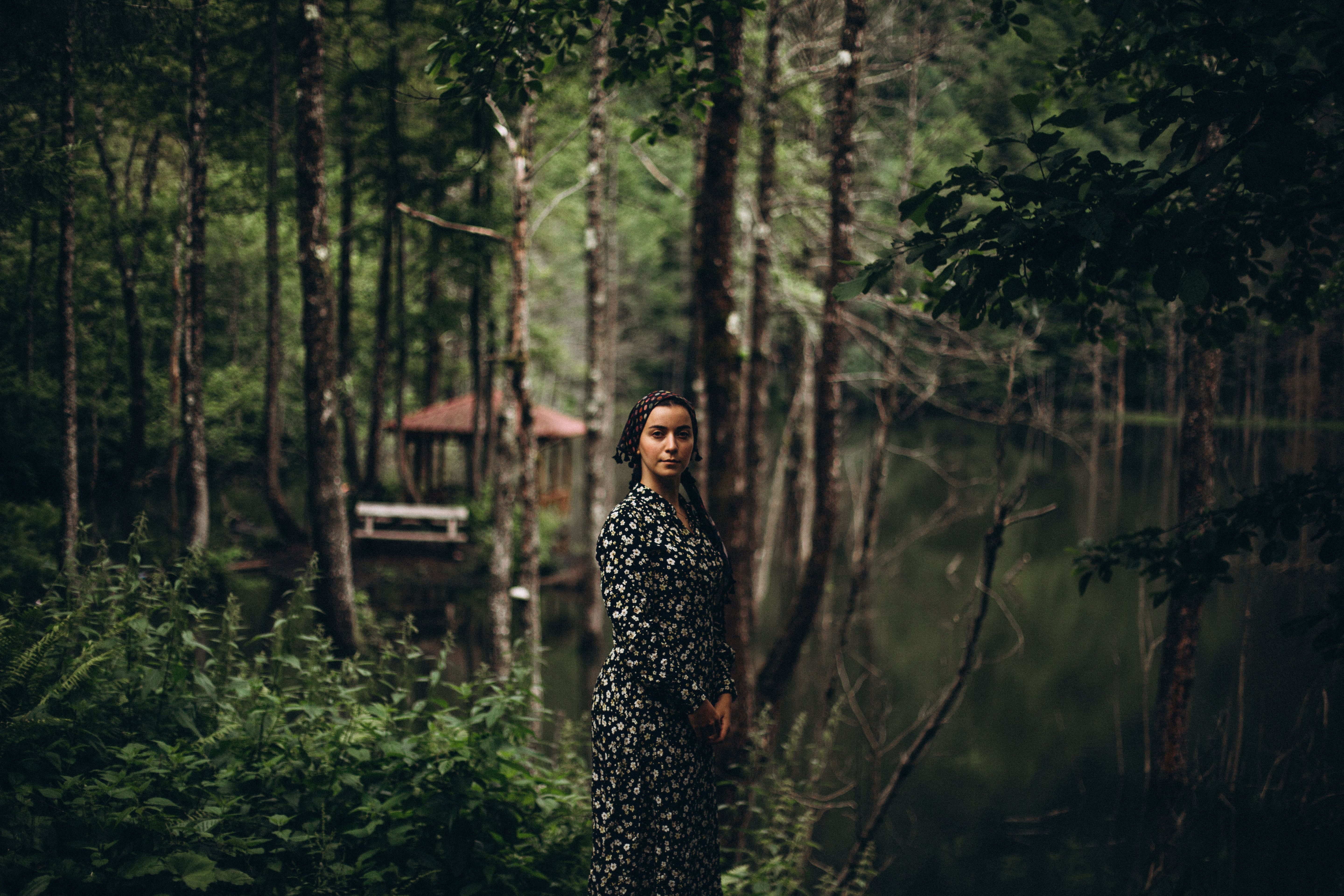 Woman in Dress Posing in Forest · Free Stock Photo
