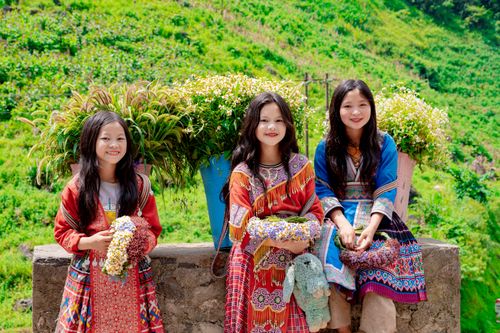 Free Three smiling girls in vibrant traditional attire holding flowers. Stock Photo