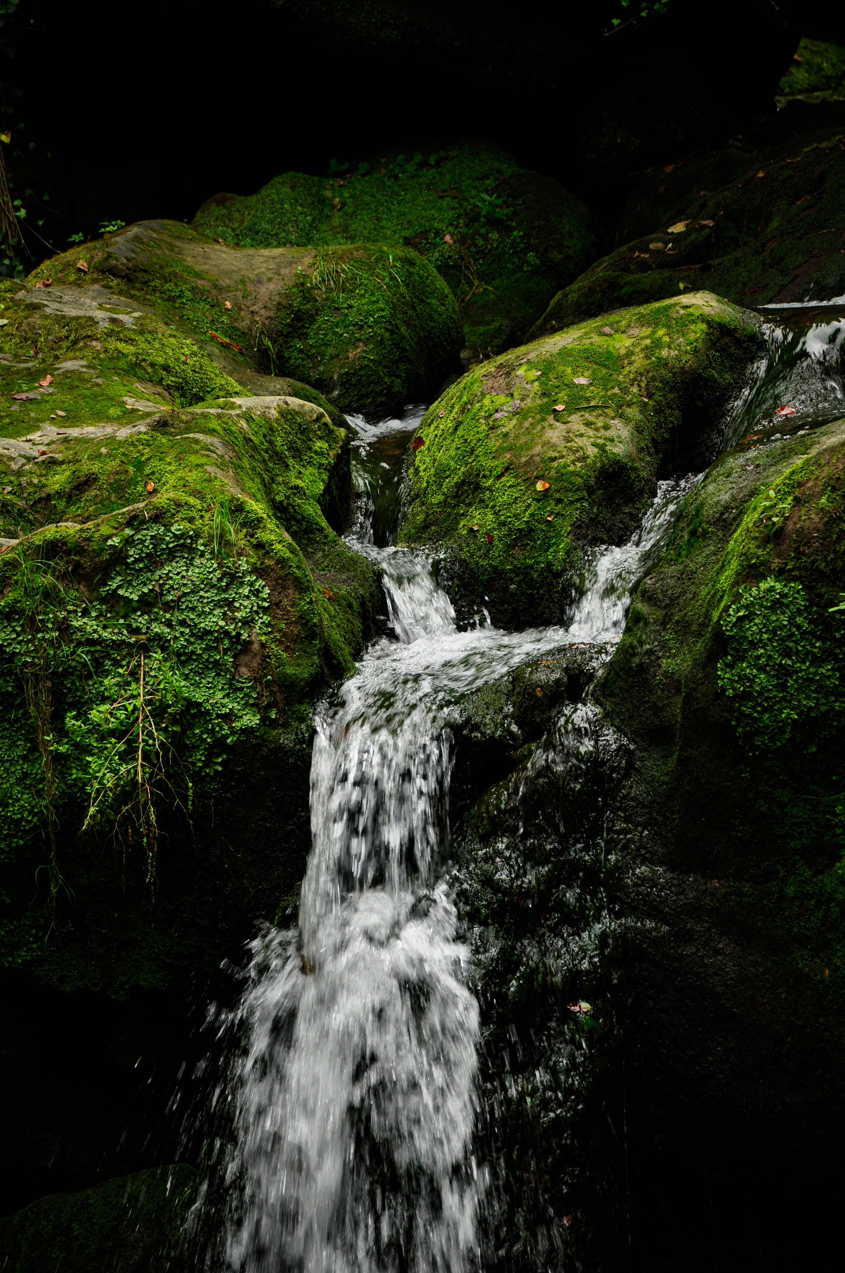View of a Waterfall · Free Stock Photo