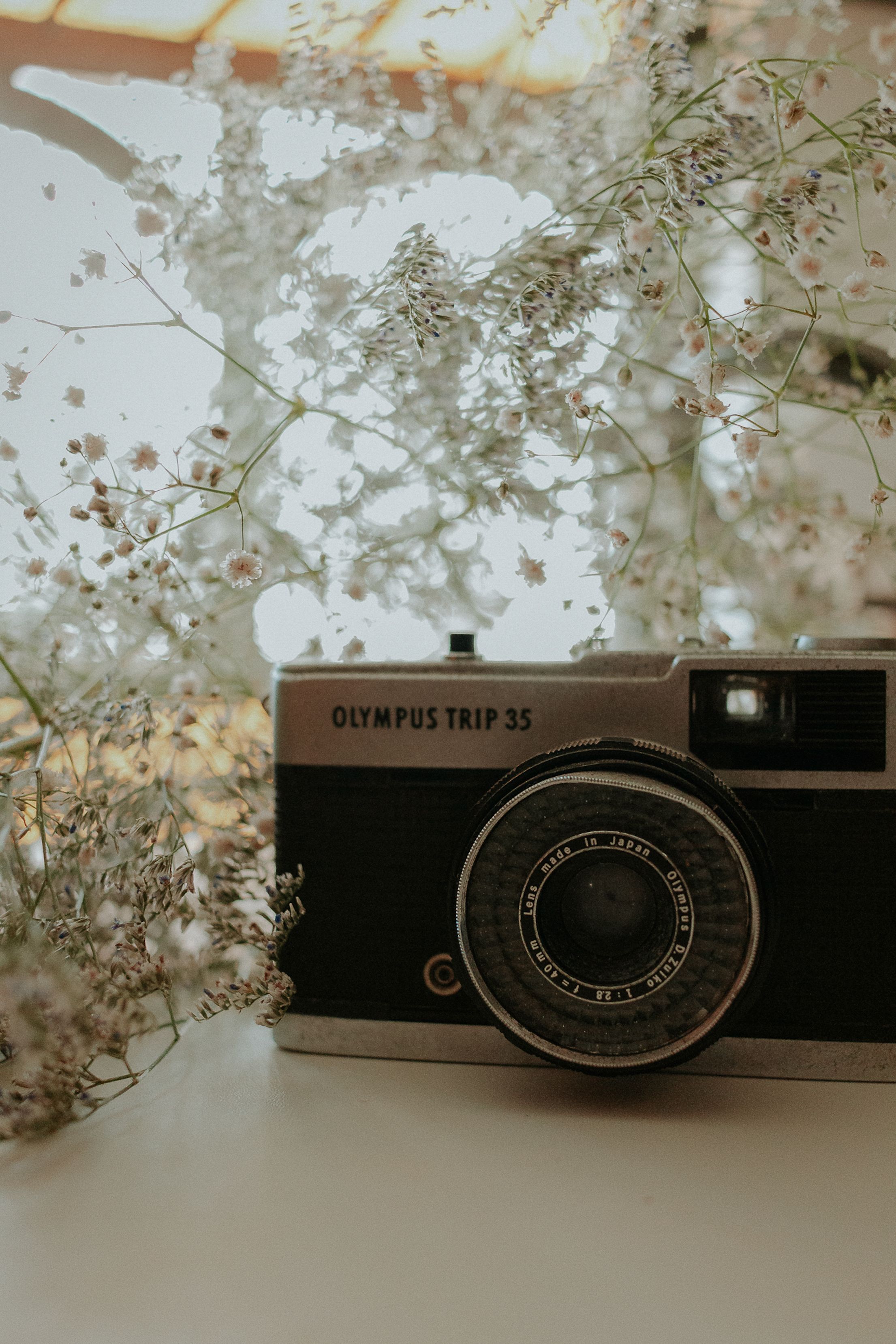 A retro Olympus camera nestled among delicate white gypsophila flowers, capturing a nostalgic feel.