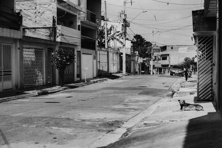 Empty Street In Black And White