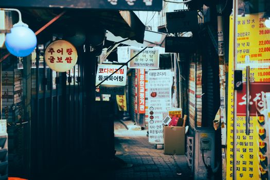 South Korean Won Faces Pressure Amid Political Turmoil and Economic Challenges