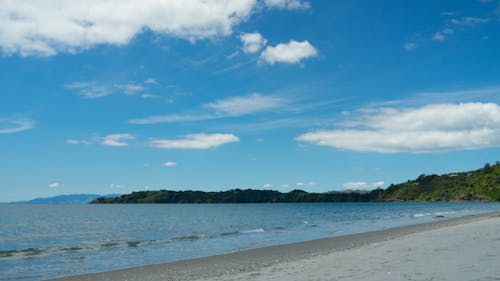 Бесплатное стоковое фото с waiheke, онероа