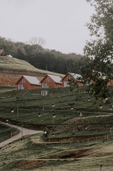 Charming rural scene of cottages nestled in green hills under a cloudy sky.
