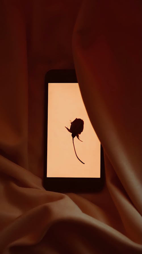 Darmowe zdjęcie z galerii z ekran, inteligentny telefon, kwiat