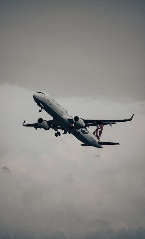 View of a Flying Commercial Airplane 